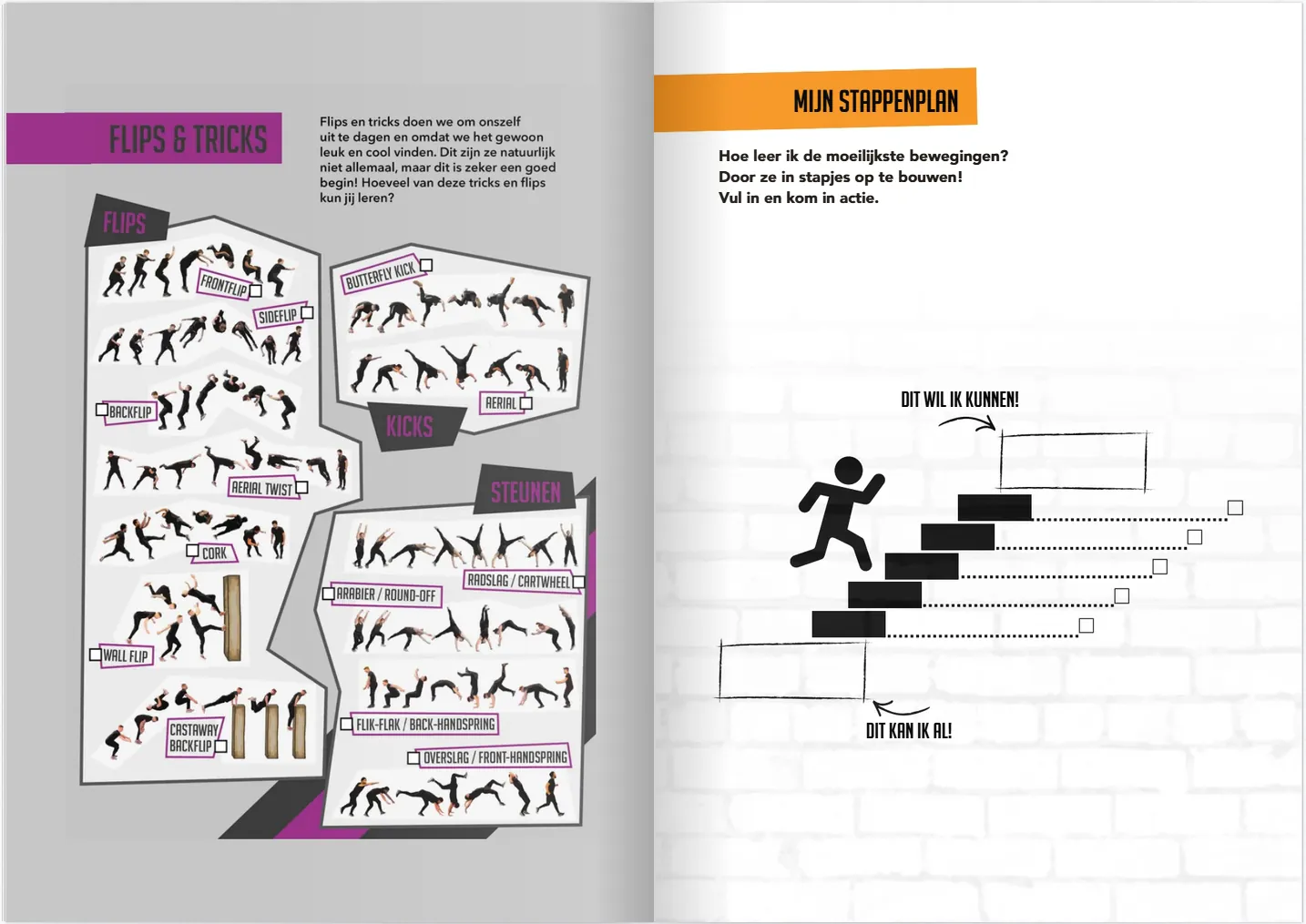 Pagina: Tips & Tricks + Mijn Stappenplan